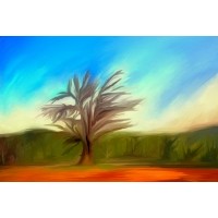 ΔΕΝΤΡΟ 